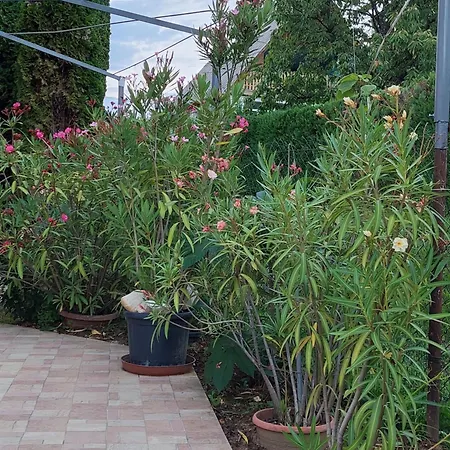 Apartamento Lonci *